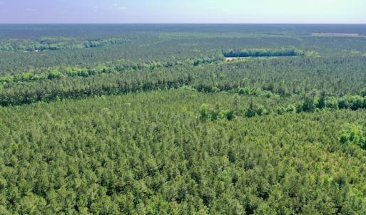 Photo #22 of 315 West Sycamore Street, Aulander, NC 40.0 acres