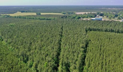 Photo #24 of 315 West Sycamore Street, Aulander, NC 40.0 acres