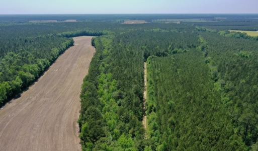Photo #26 of 315 West Sycamore Street, Aulander, NC 40.0 acres