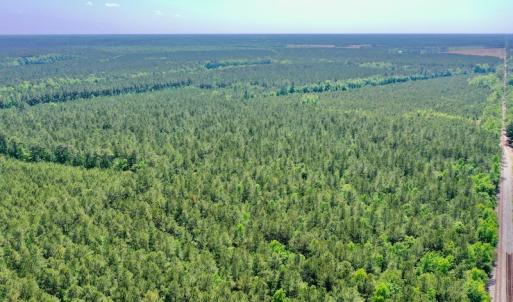 Photo #4 of 315 West Sycamore Street, Aulander, NC 40.0 acres