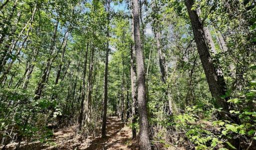 Photo #27 of 315 West Sycamore Street, Aulander, NC 40.0 acres