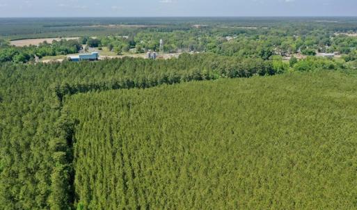 Photo #28 of 315 West Sycamore Street, Aulander, NC 40.0 acres