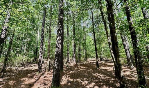 Photo #29 of 315 West Sycamore Street, Aulander, NC 40.0 acres