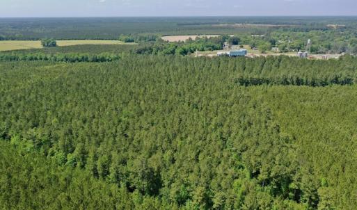 Photo #30 of 315 West Sycamore Street, Aulander, NC 40.0 acres