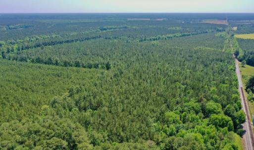 Photo #34 of 315 West Sycamore Street, Aulander, NC 40.0 acres