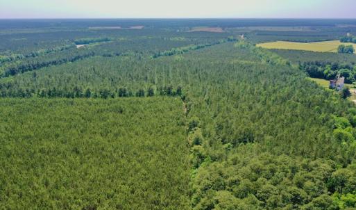 Photo #36 of 315 West Sycamore Street, Aulander, NC 40.0 acres