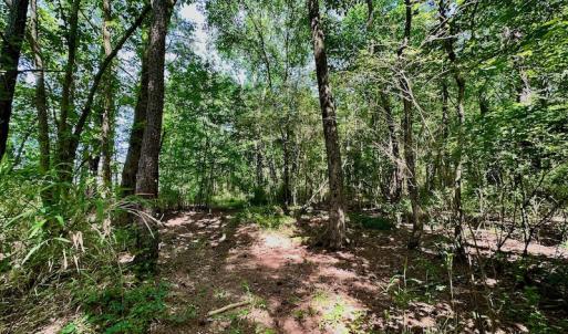 Photo #37 of 315 West Sycamore Street, Aulander, NC 40.0 acres