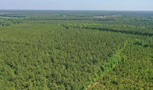 Photo #9 of 315 West Sycamore Street, Aulander, NC 40.0 acres