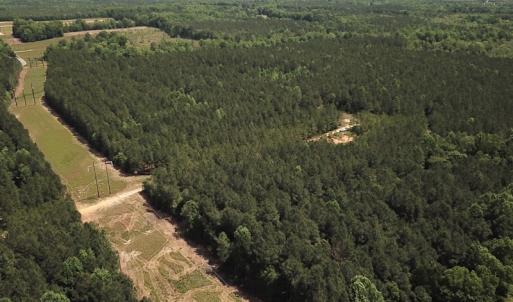 Photo #2 of Off Moores Ferry Rd , Emporia, VA 158.0 acres