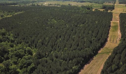 Photo #3 of Off Moores Ferry Rd , Emporia, VA 158.0 acres