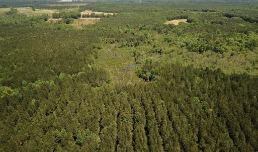 Photo #4 of Off Moores Ferry Rd , Emporia, VA 158.0 acres