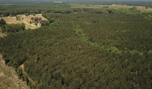 Photo #5 of Off Moores Ferry Rd , Emporia, VA 158.0 acres
