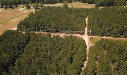 Photo #6 of Off Moores Ferry Rd , Emporia, VA 158.0 acres