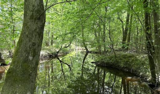 Photo #8 of Off Moores Ferry Rd , Emporia, VA 158.0 acres