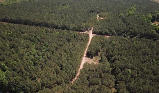 Photo #9 of Off Moores Ferry Rd , Emporia, VA 158.0 acres