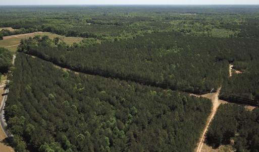 Photo #10 of Off Moores Ferry Rd , Emporia, VA 158.0 acres
