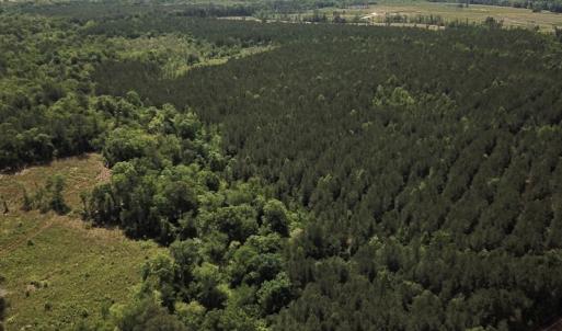 Photo #11 of Off Moores Ferry Rd , Emporia, VA 158.0 acres