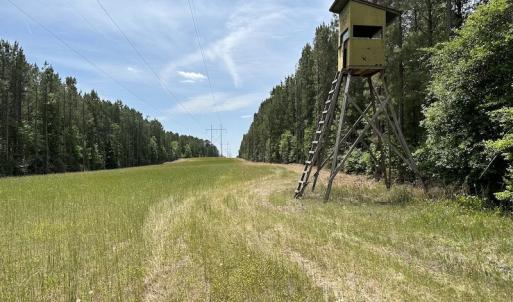 Photo #13 of Off Moores Ferry Rd , Emporia, VA 158.0 acres
