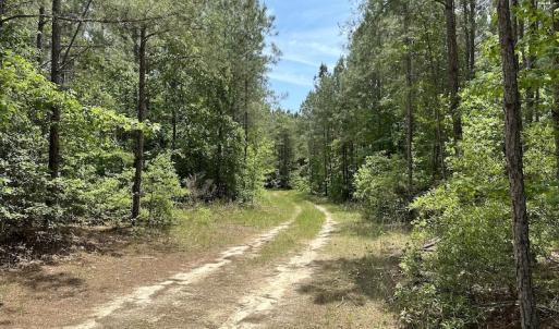 Photo #15 of Off Moores Ferry Rd , Emporia, VA 158.0 acres