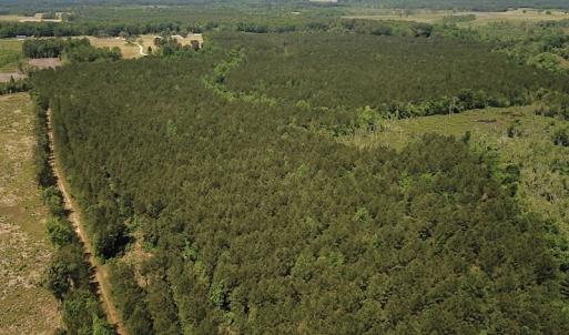 Photo #16 of Off Moores Ferry Rd , Emporia, VA 158.0 acres