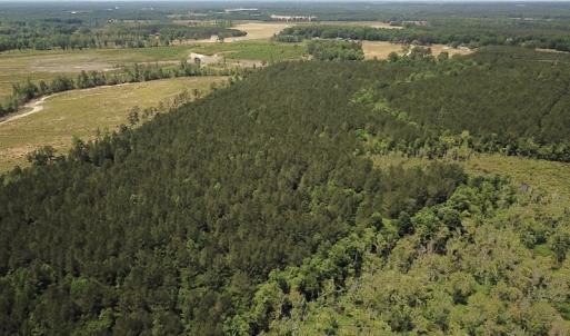 Photo #19 of Off Moores Ferry Rd , Emporia, VA 158.0 acres