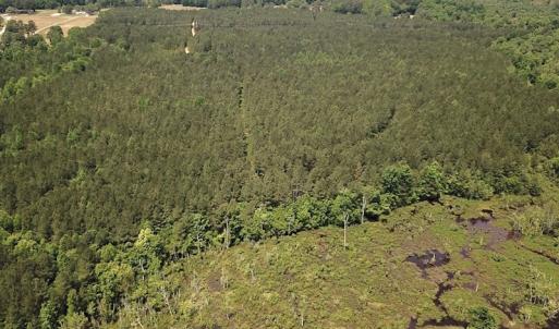 Photo #20 of Off Moores Ferry Rd , Emporia, VA 158.0 acres