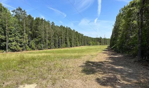 Photo #7 of Off Moores Ferry Rd , Emporia, VA 158.0 acres
