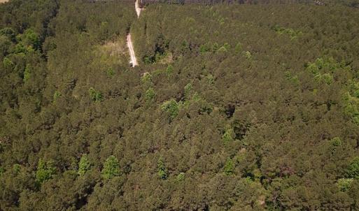 Photo #21 of Off Moores Ferry Rd , Emporia, VA 158.0 acres