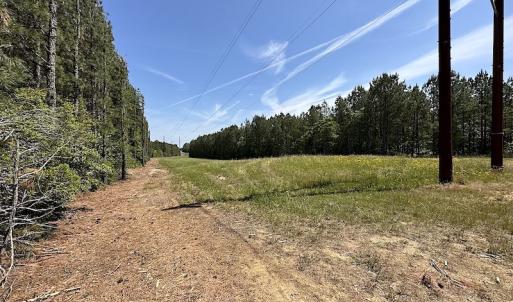 Photo #22 of Off Moores Ferry Rd , Emporia, VA 158.0 acres
