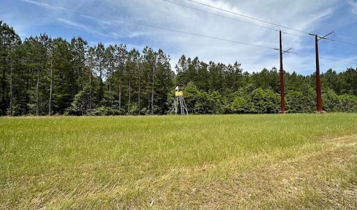 Photo #24 of Off Moores Ferry Rd , Emporia, VA 158.0 acres