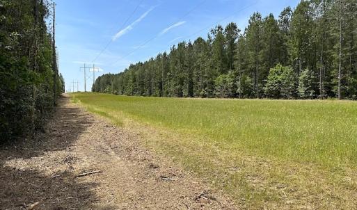 Photo #25 of Off Moores Ferry Rd , Emporia, VA 158.0 acres