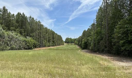 Photo #28 of Off Moores Ferry Rd , Emporia, VA 158.0 acres