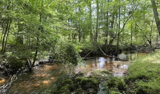 Photo #29 of Off Moores Ferry Rd , Emporia, VA 158.0 acres