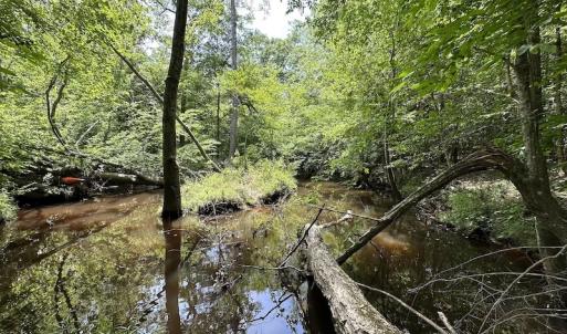 Photo #31 of Off Moores Ferry Rd , Emporia, VA 158.0 acres