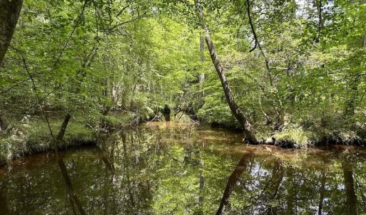 Photo #32 of Off Moores Ferry Rd , Emporia, VA 158.0 acres