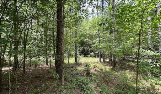 Photo #33 of Off Moores Ferry Rd , Emporia, VA 158.0 acres