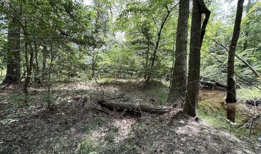 Photo #34 of Off Moores Ferry Rd , Emporia, VA 158.0 acres
