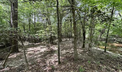 Photo #35 of Off Moores Ferry Rd , Emporia, VA 158.0 acres