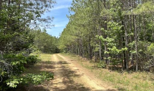 Photo #36 of Off Moores Ferry Rd , Emporia, VA 158.0 acres