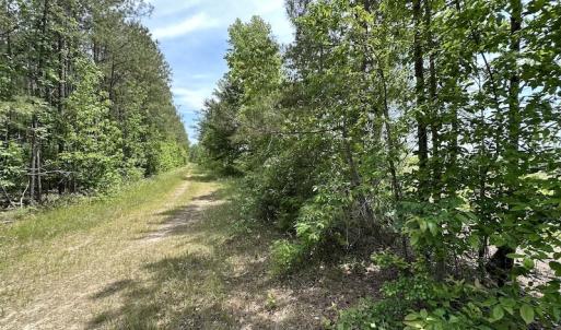 Photo #38 of Off Moores Ferry Rd , Emporia, VA 158.0 acres