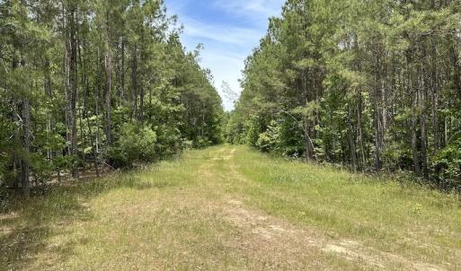 Photo #39 of Off Moores Ferry Rd , Emporia, VA 158.0 acres