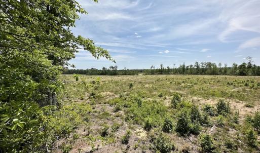 Photo #40 of Off Moores Ferry Rd , Emporia, VA 158.0 acres