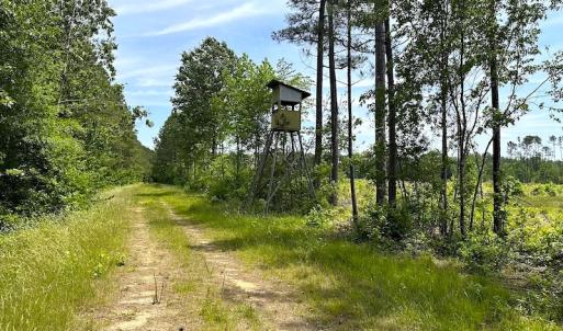 Photo #41 of Off Moores Ferry Rd , Emporia, VA 158.0 acres