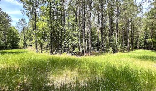 Photo #42 of Off Moores Ferry Rd , Emporia, VA 158.0 acres