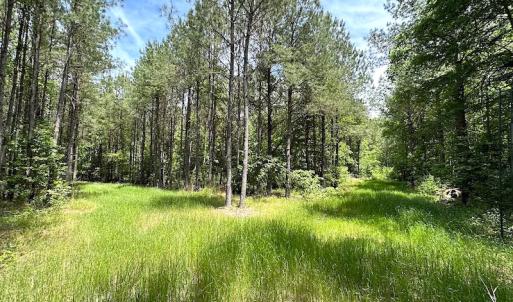 Photo #43 of Off Moores Ferry Rd , Emporia, VA 158.0 acres