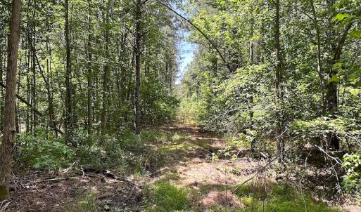 Photo #44 of Off Moores Ferry Rd , Emporia, VA 158.0 acres