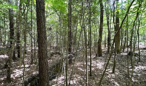 Photo #45 of Off Moores Ferry Rd , Emporia, VA 158.0 acres