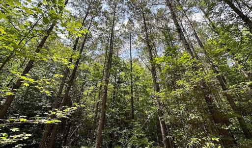 Photo #47 of Off Moores Ferry Rd , Emporia, VA 158.0 acres