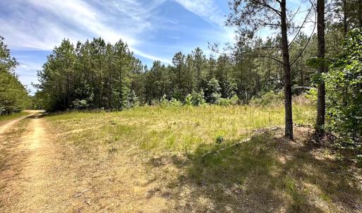 Photo #49 of Off Moores Ferry Rd , Emporia, VA 158.0 acres