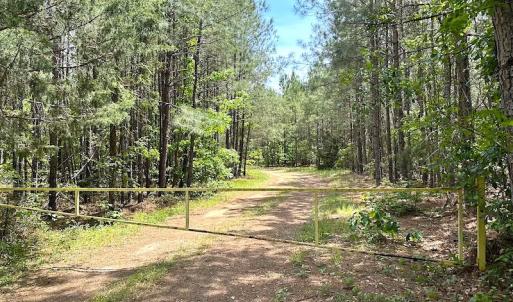Photo #50 of Off Moores Ferry Rd , Emporia, VA 158.0 acres